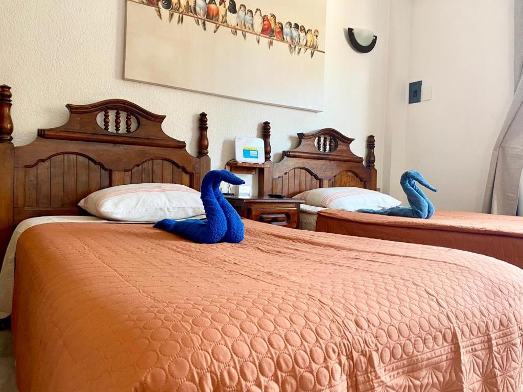 Suites Ximajo Brisas de Zicatela Экстерьер фото